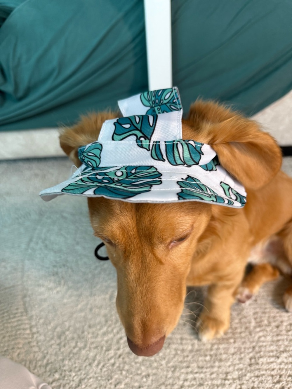 White and Teal Leaf Print Dog Sun Visor - Pet Hat